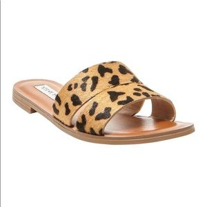 Steve Madden Alexandra Leopard Sandal